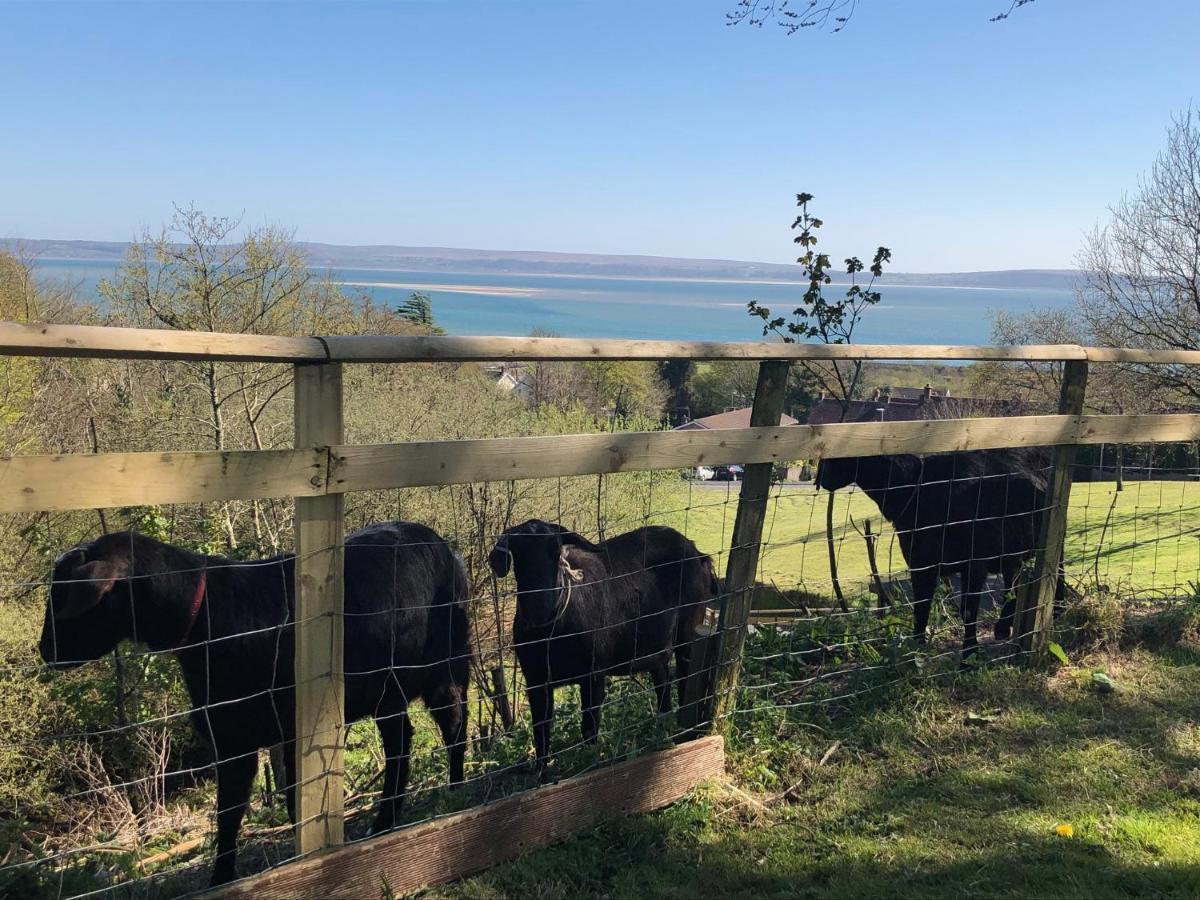 Bronllys Farm Coastal Self-Catering Apartman Llanelli Kültér fotó