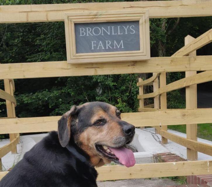 Bronllys Farm Coastal Self-Catering Apartman Llanelli Kültér fotó